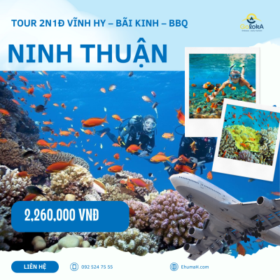 Đắm Mình Trong Vẻ Đẹp Kỳ Diệu Của Vịnh Vĩnh Hy