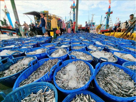 Hải sản tươi rói