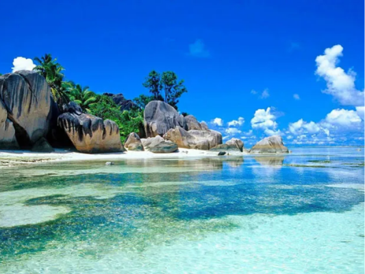 Viên ngọc biển đông