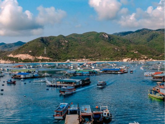 Cuộc sống giản dị